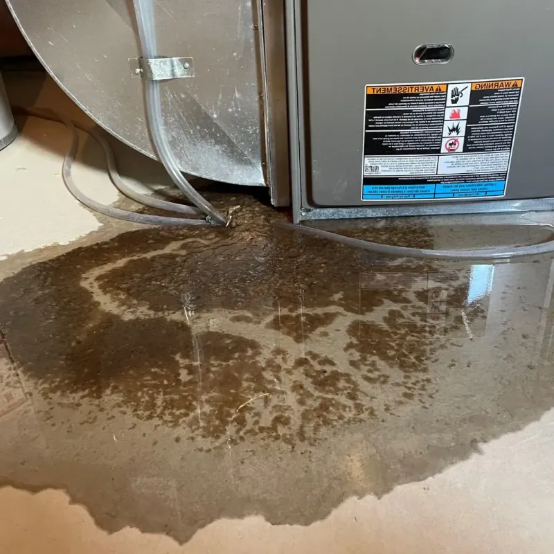 Pipe Burst and Leak Restoration in Edgewood, KY